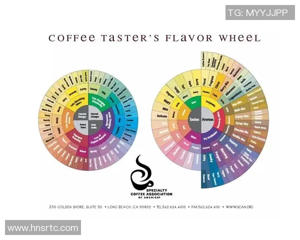 探索咖啡的奥秘:从起源历史到现代咖啡文化的多样化演变 探索咖啡的奥秘:从起源历史到现代咖啡文化的多样化演变