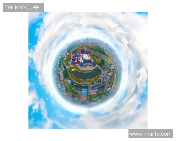 深圳排球队的拼搏历程与荣耀时刻全景回顾