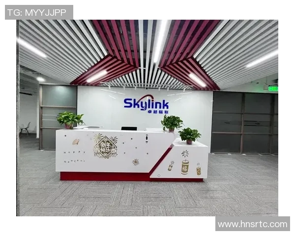 以锋为中心，打造全新战略布局，推动行业发展和技术创新，迈向未来卓越目标