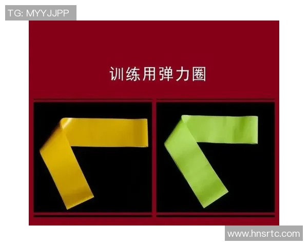 武汉羽毛球队速度对比深度解析与训练策略探讨