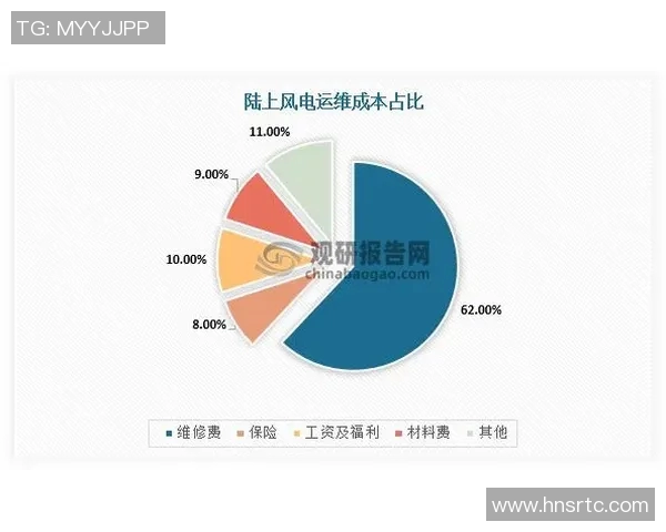 深圳网球队的崛起与发展:探寻其背后的力量与潜力分析
